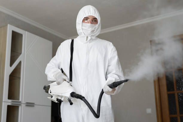 Biohazard Mold Removal in Crest View Heights, NY